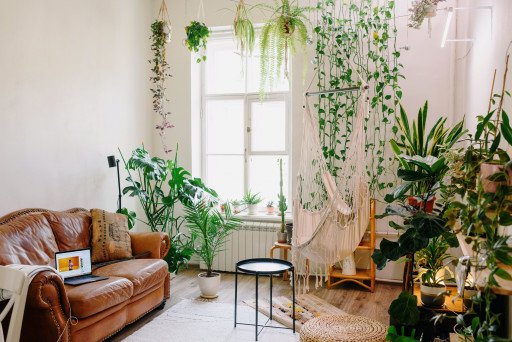 Transform Your Living Space: The Ultimate Guide to Decorating with Plants